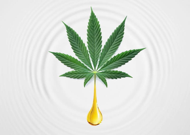 Terpenes: what are they and why they matter?
