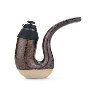 black-chestnut